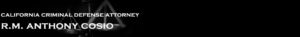 criminal attorney california